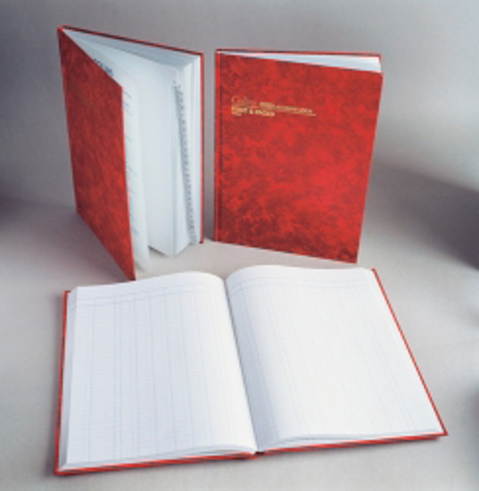Picture of ACCOUNT BOOK COLLINS 3880 DAY BOOK