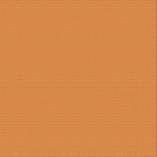 Picture of CARDSTOCK 12X12 BURNT SIENNA