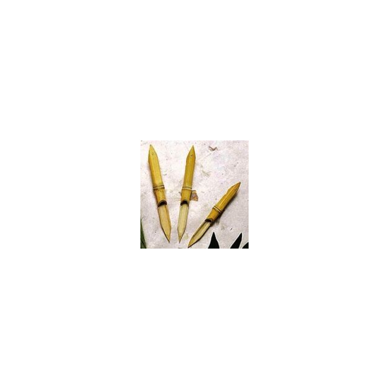 Picture of BAMBOO SMALL/MED/LARGE REED PEN