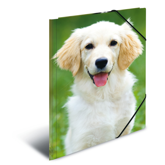 Picture of ELASTICATED FOLDER A3 PP DOGS