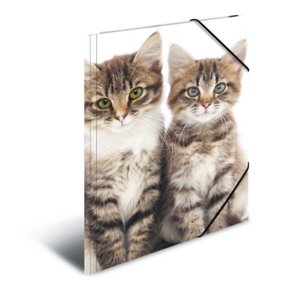 Picture of ELASTICATED FOLDER A3 PP CATS