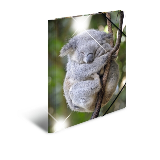 Picture of ELASTIC FOLDER PP GLOSSY A3 KOALA