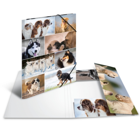 Picture of ELASTICATED FOLDER A3 DOGS CB