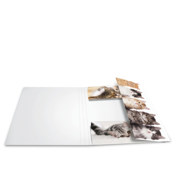 Picture of ELASTICATED FOLDER A3 CATS CB