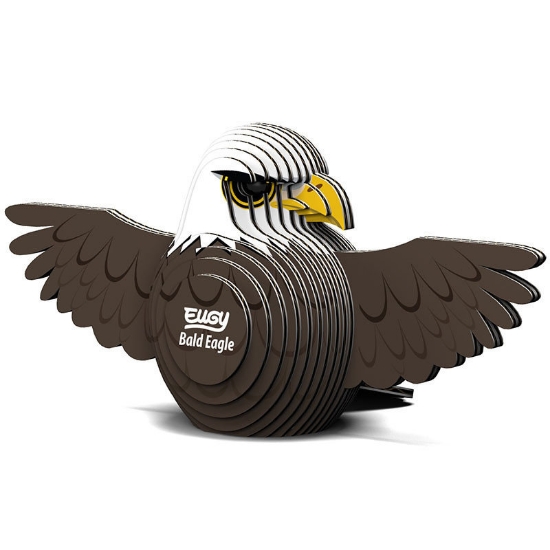 Picture of EUGY2 BALD EAGLE