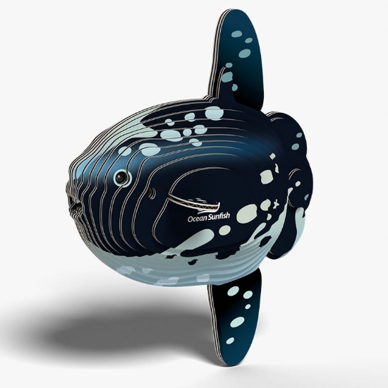 Picture of EUGY2 OCEAN SUNFISH