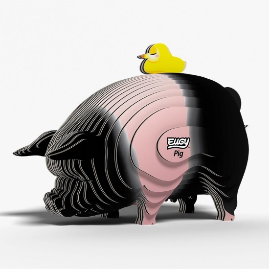 Picture of EUGY2 PIG