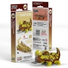 Picture of EUGY2 THORNY DEVIL