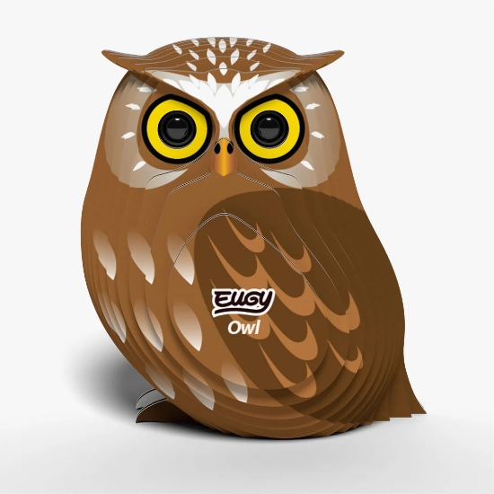 Picture of EUGY2 OWL