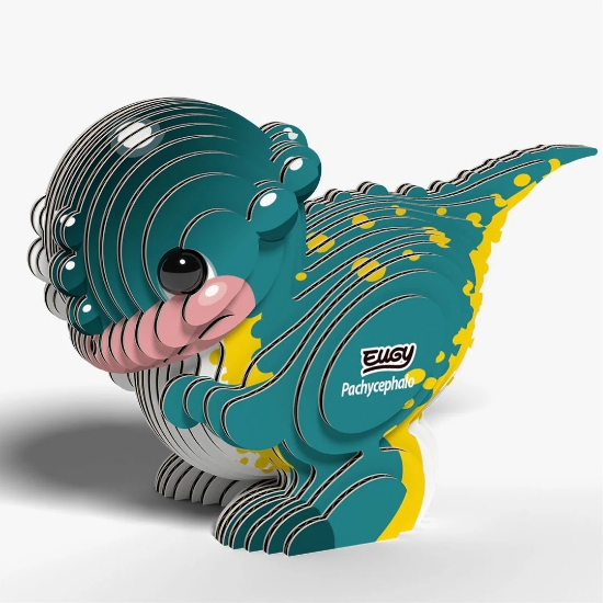 Picture of EUGY2 PACHYCEPHALO