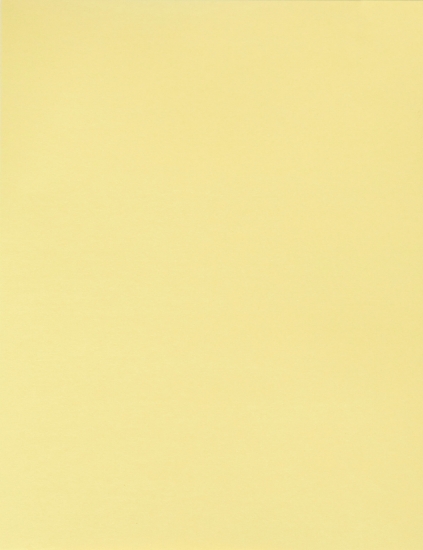 Picture of BRISTOL BOARD YELLOW 200GSM