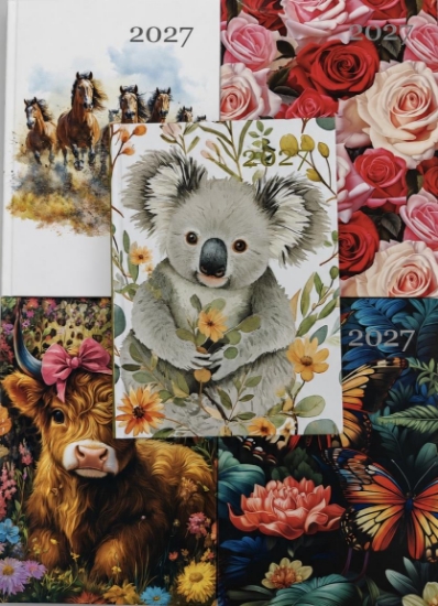 Picture of 2027 DIARY A7 WTV PRINTED